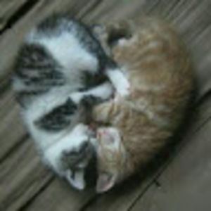 Meet your Posher, D.